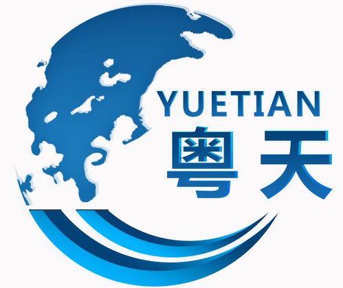 如何选择优质咨询服务供应商 从厂家、公司到卓越合作伙伴